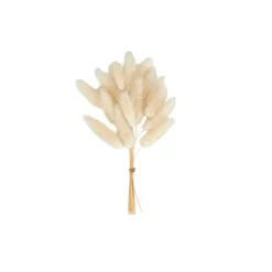 ADDO Vaso Crema