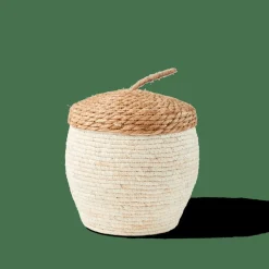 ALVIN Cesto Portatutto Con Coperchio Marrone, Naturale