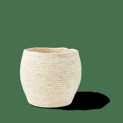 ALVIN Cesto Portatutto Con Coperchio Marrone, Naturale