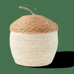 ALVIN Cesto Portatutto Con Coperchio Marrone, Naturale
