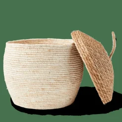 ALVIN Cesto Portatutto Con Coperchio Marrone, Naturale