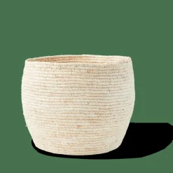 ALVIN Cesto Portatutto Con Coperchio Marrone, Naturale