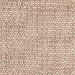 ANISE Runner Multicolore