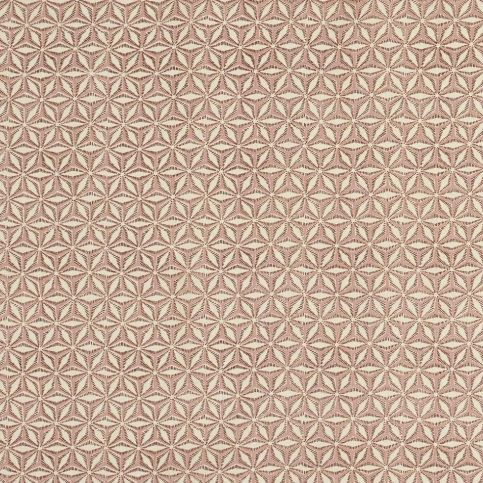 ANISE Runner Multicolore