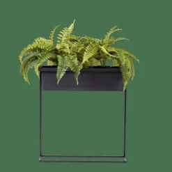 BALCO Vaso Per Piante Nero