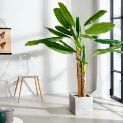 BANANA Banano Verde