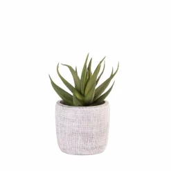 BAZAAR Vaso Da Fiori Naturale