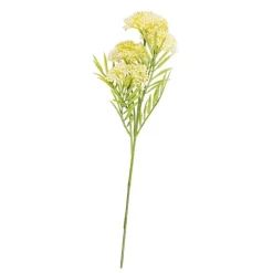 BERRY Rametto Erbe Giallo