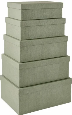 BIGSO Portaogg Cassetto 5 Parti Menta