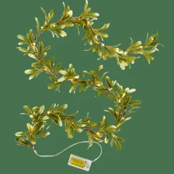 BLATTE Filo Luminoso Verde