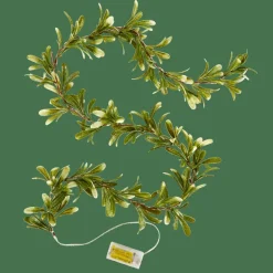 BLATTE Filo Luminoso Verde