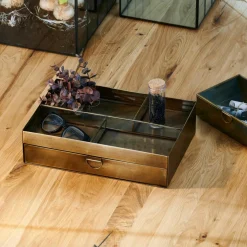 BRASS Portaoggetti Bronzo