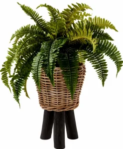 BRONZE Vaso Per Piante Bronzo