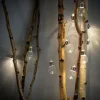 BULB Filo Luminoso Solare 10 Leds Trasparente