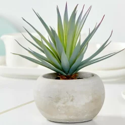 CEMENT Succulente Finto In Vaso Grigio