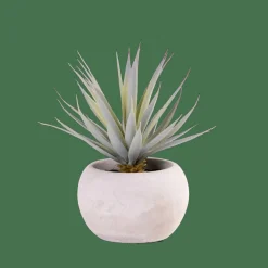 CEMENT Succulente Finto In Vaso Grigio