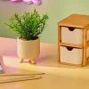 CERA Pianta Artificiale Vari Colori
