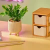 CERA Pianta Artificiale Vari Colori