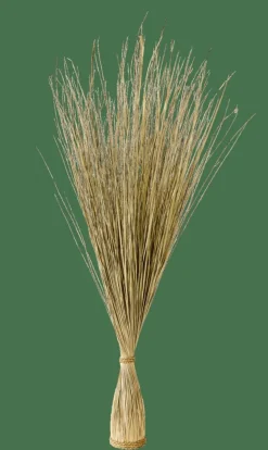 COGON Mazzo Di Erba Naturale