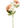 DAHLIA Ramo Fiorito Rosa Pesca