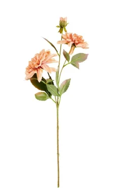 DAHLIA Ramo Fiorito Rosa Pesca