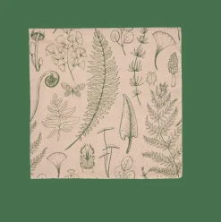 ECO NATURE Set Di 20 Tovaglioli Multicolore