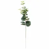 EUCALYPTUS Ghirlanda Verde