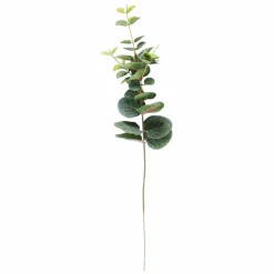 EUCALYPTUS Ghirlanda Verde