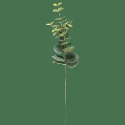 EUCALYPTUS Ramo Artificiale Verde