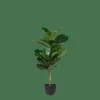 FIGI Nero, Verde Scuro