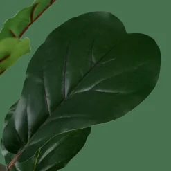 FIGI Nero, Verde Scuro