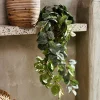 FITTONIA Ghirlanda Di Foglie Verde
