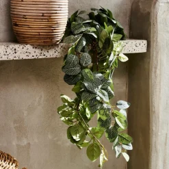FITTONIA Ghirlanda Di Foglie Verde