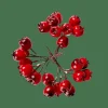 FOAM Decorazione Cinorrodo Rosso