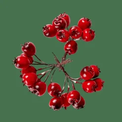 FOAM Decorazione Cinorrodo Rosso