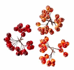 FOAM Rami Di Rosa Canina Rosso