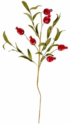 FOAM Rami Di Rosa Canina Rosso