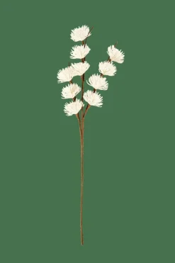 FROST Larice Bianco
