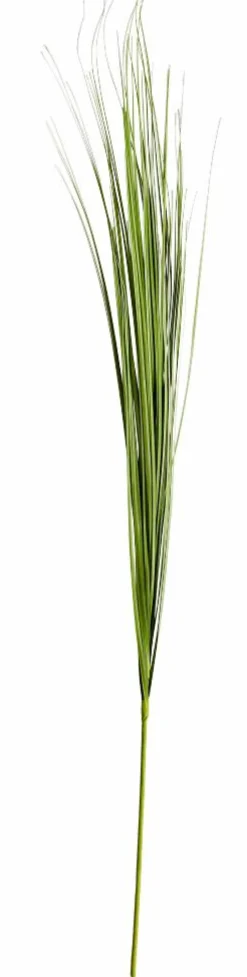 GRASS Mazzo Di Erba Rosso