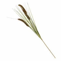 GRASS Mazzo Di Erba Verde