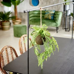 GREENERY Vaso Sospeso Con Felce Verde