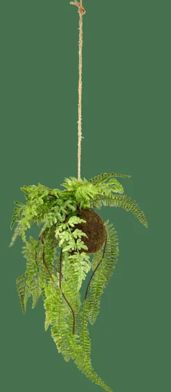 GREENERY Vaso Sospeso Con Felce Verde