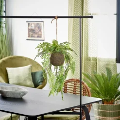 GREENERY Vaso Sospeso Con Felce Verde