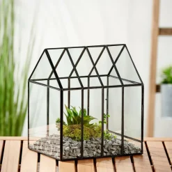 GREENHOUSE Serra Minuscola Trasparente