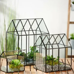 GREENHOUSE Serra Trasparente