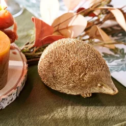 HEDGEHOG Riccio Dorato