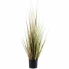 HERBA Erba In Vaso H120cm Verde
