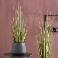 HERBA Erba In Vaso H120cm Verde