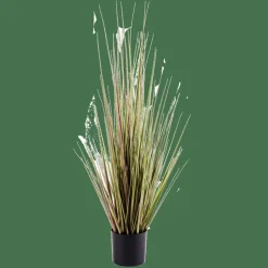 HERBA Erba In Vaso Verde