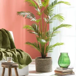 KWAI Palma Verde